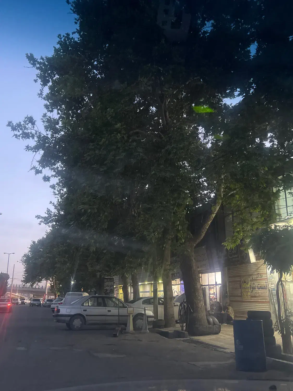 مغازه