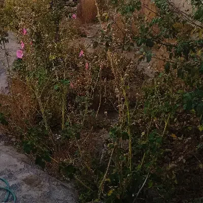 زمین فروشی