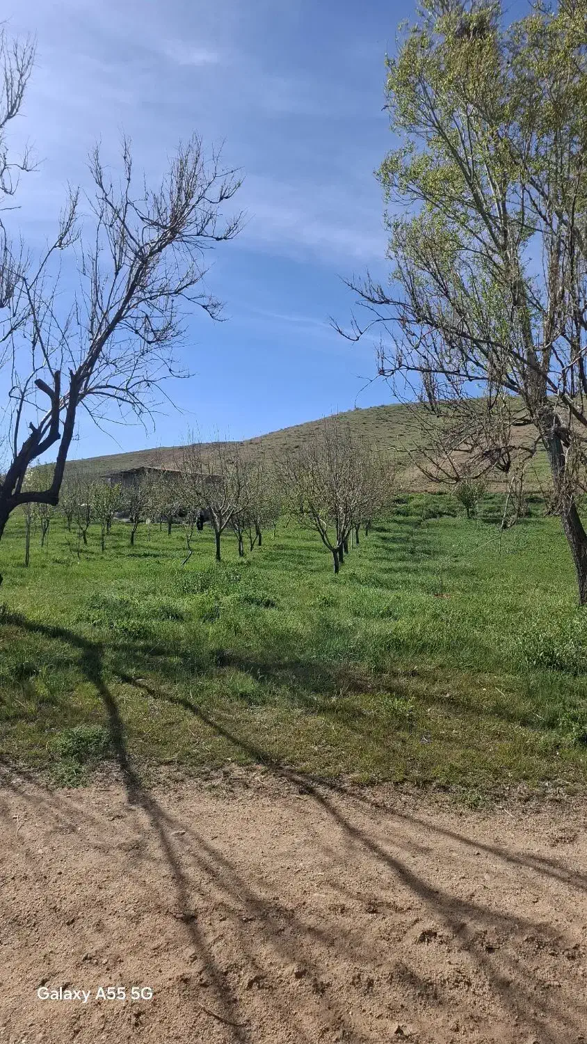 باغ در روستای بوغداکندی