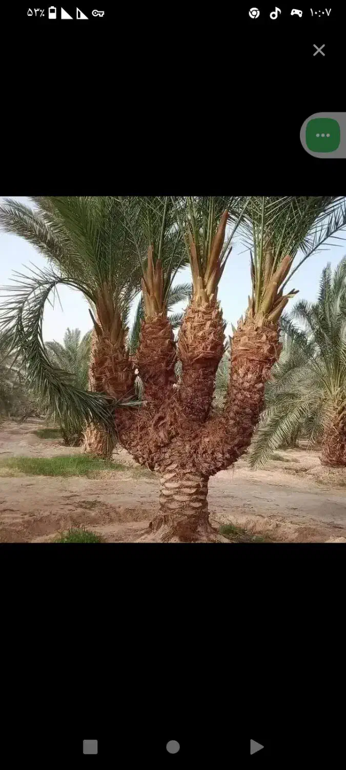 یک قطعه زمین در موقعیت تجاری