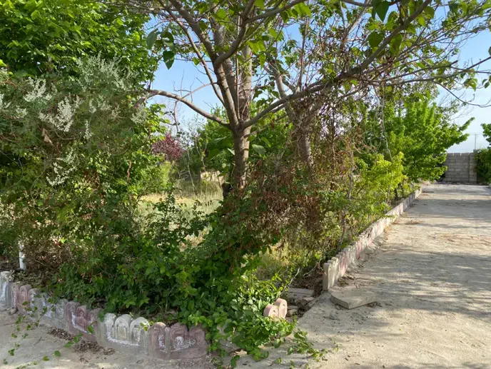باغ ویلا شاهنامه ماریان