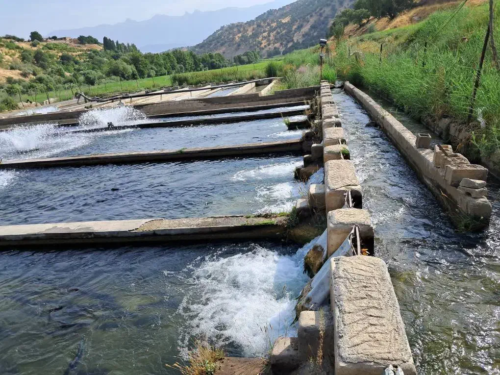 کارگاه پرورش ماهی واقع در کبگیان