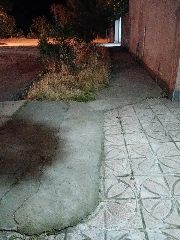 زمین مسکونی در کوچه 2 دانه روغنی