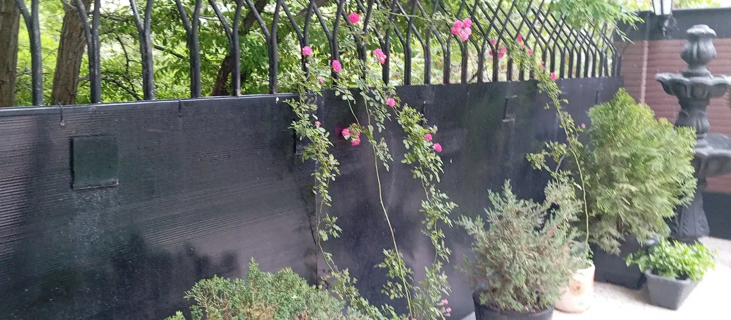 اجاره