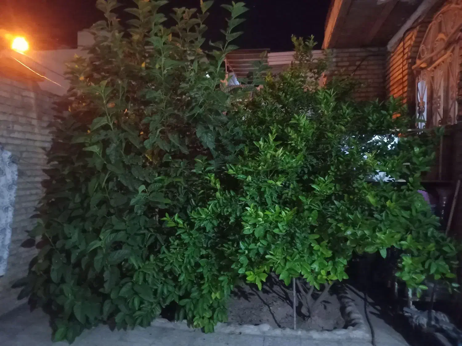 فروش خانه ویلایی صنایع فولاد