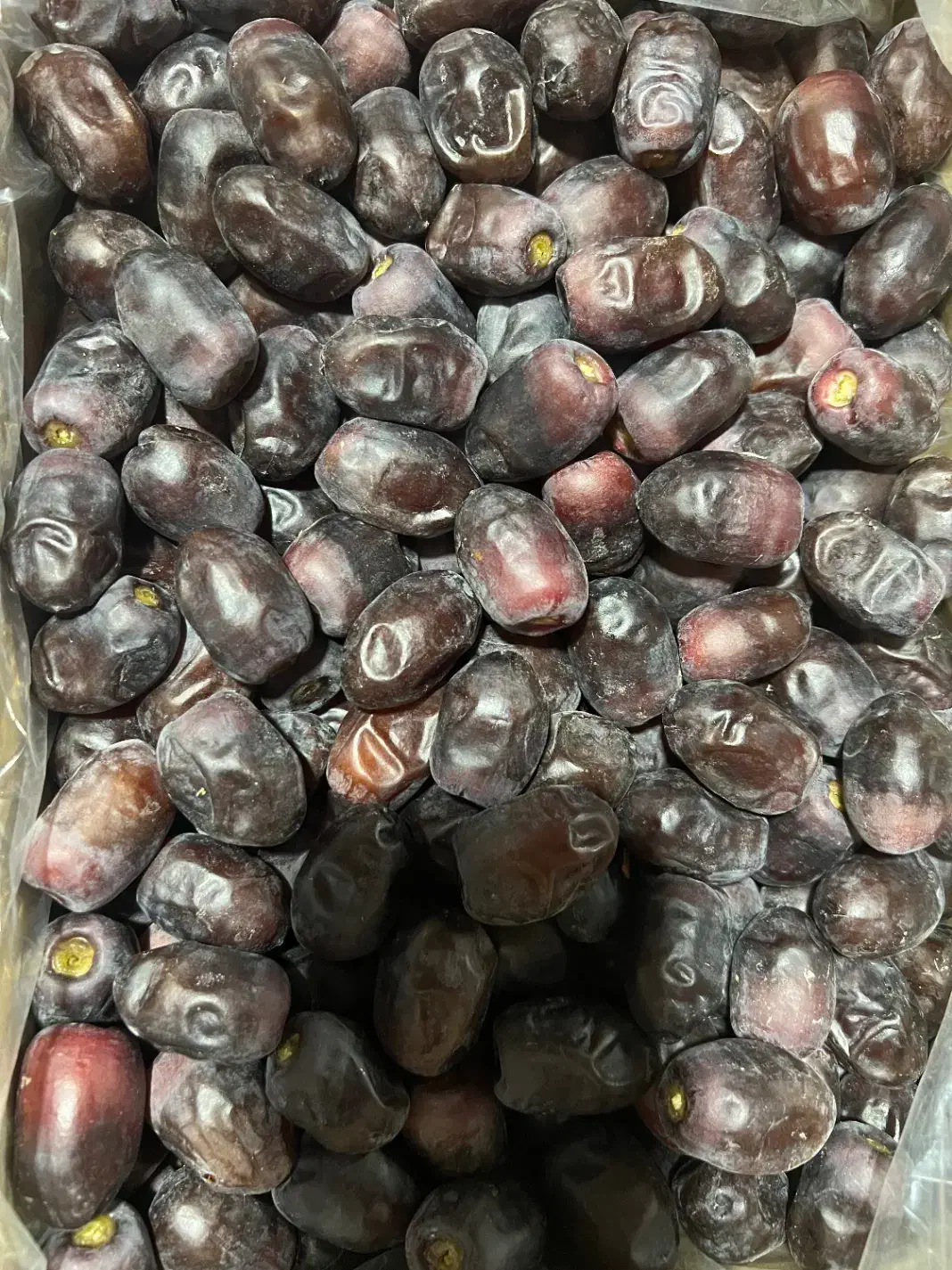 فروش باغ و آب