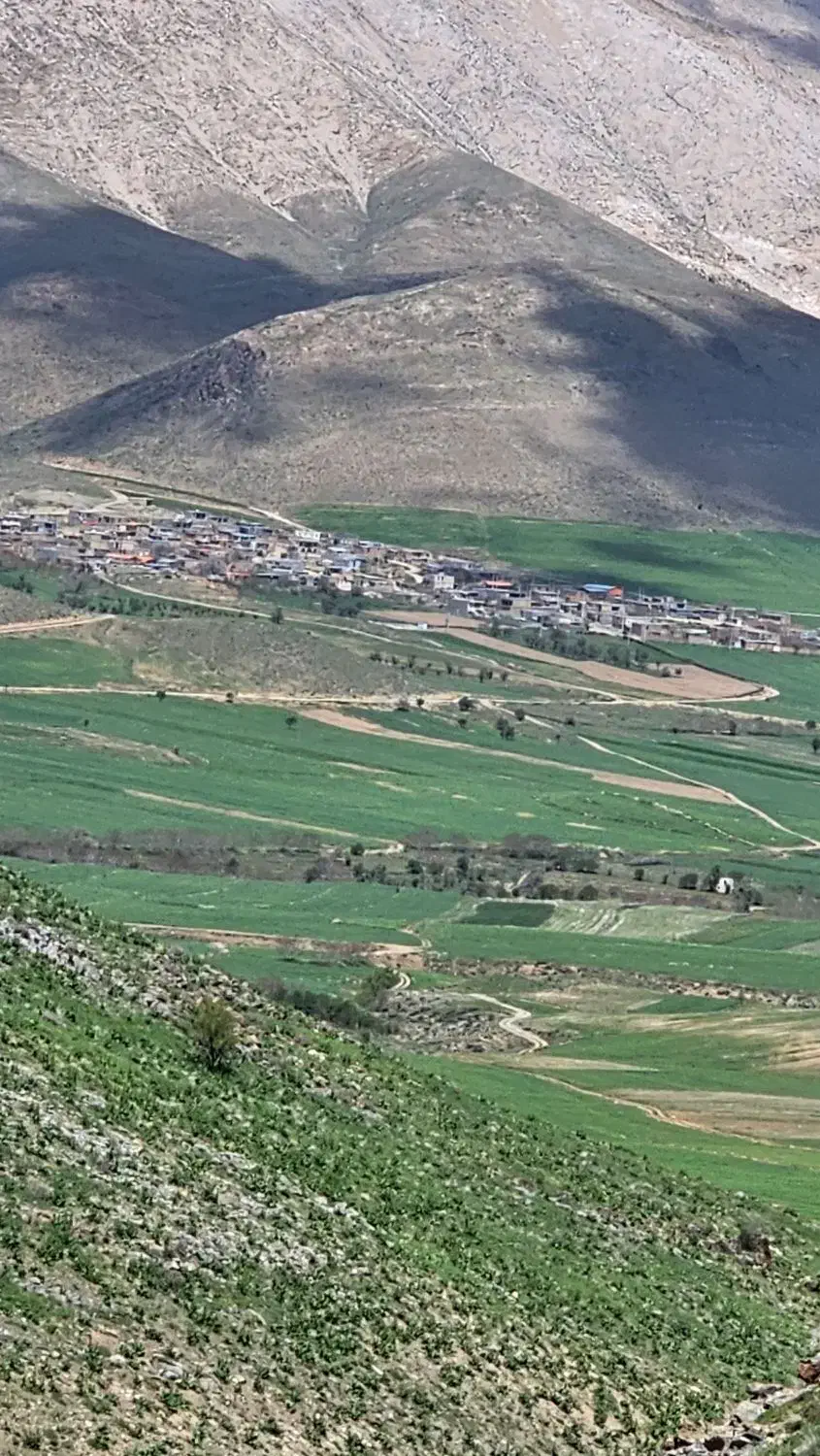 زمین ۳۵۰ متری جنوبی فولادشهر