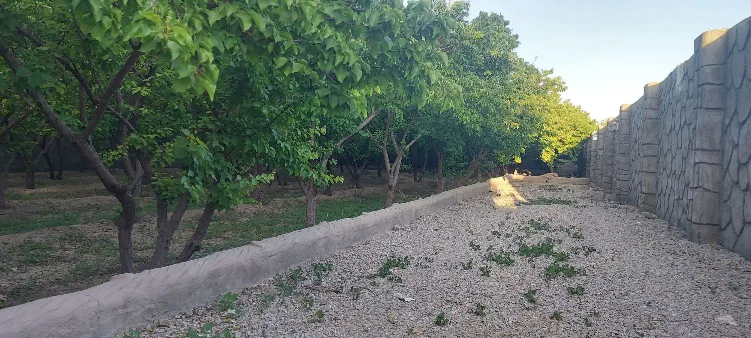 اجاره باغ زردآلو