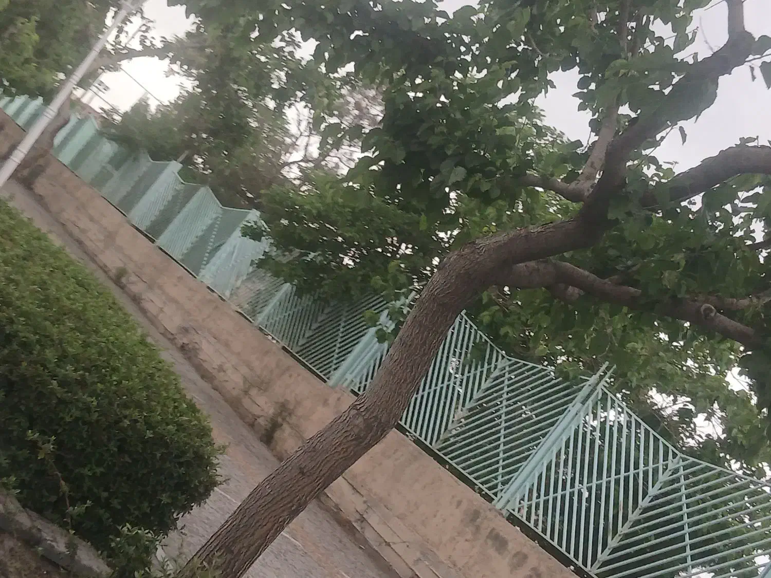 ۱۰۰۰متر صنعتی و تجاری سند دار