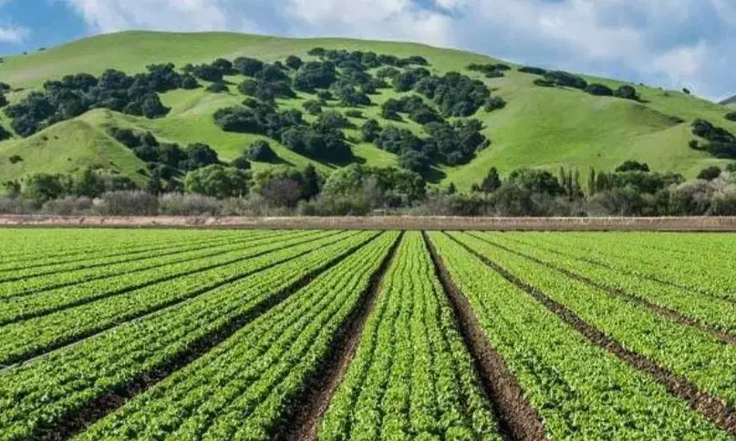 زمین کشاورزی آبی