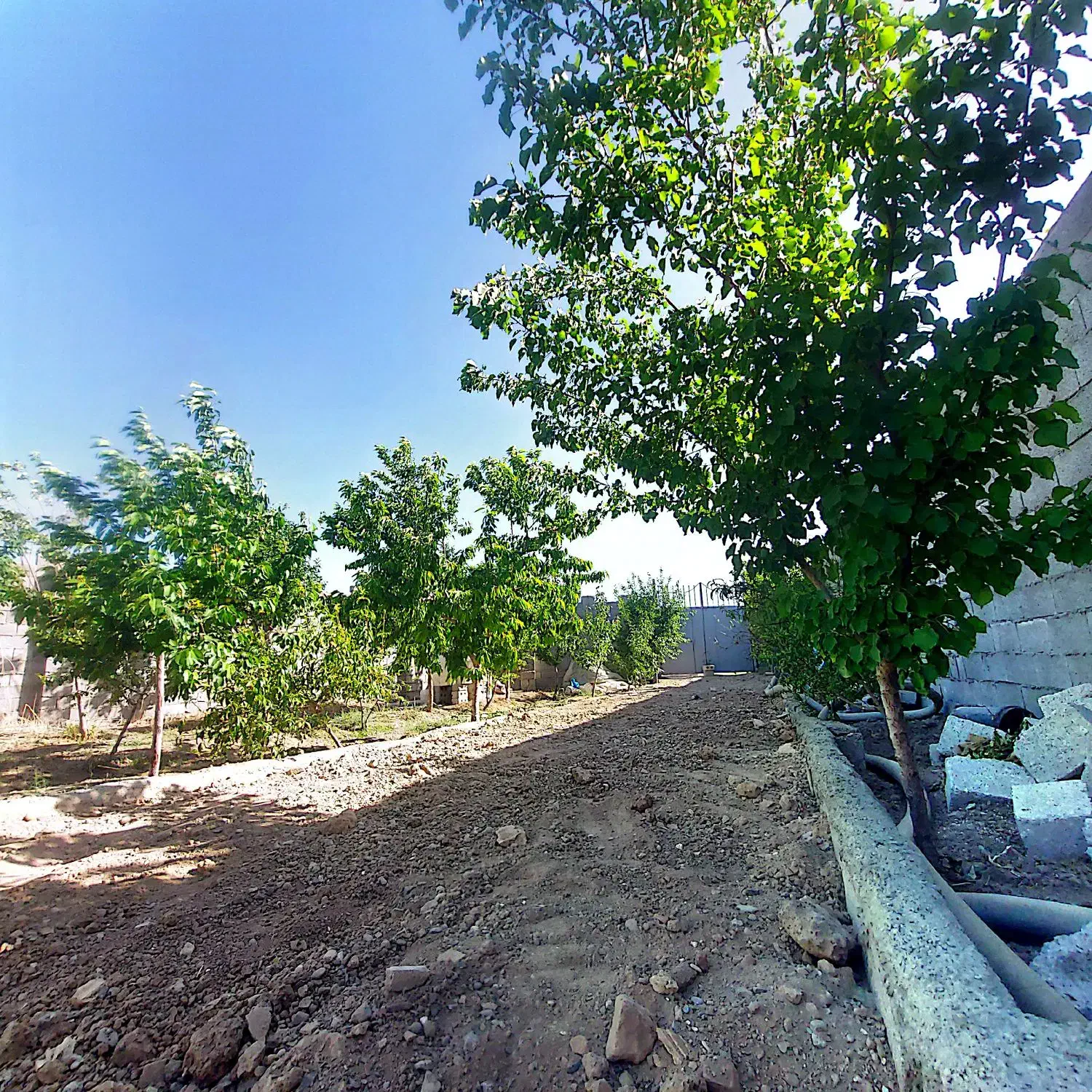 زمین محصور (چهاردیواری)