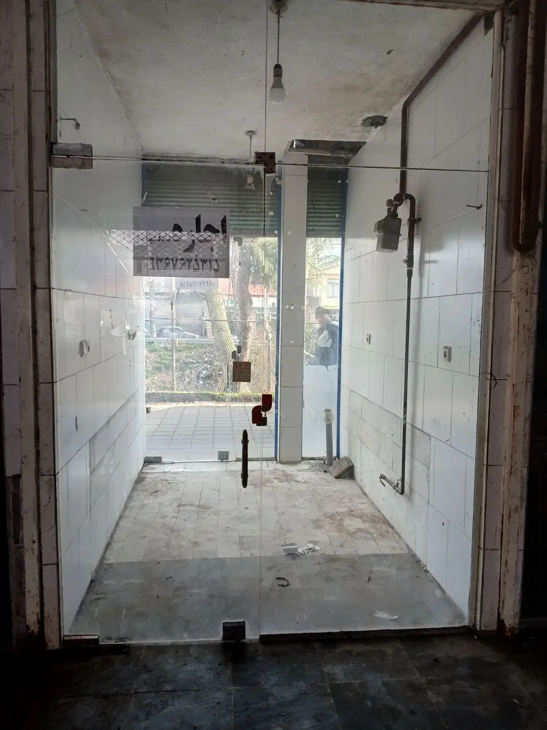 بازارماهی فروشان ماهی ۶میلیون