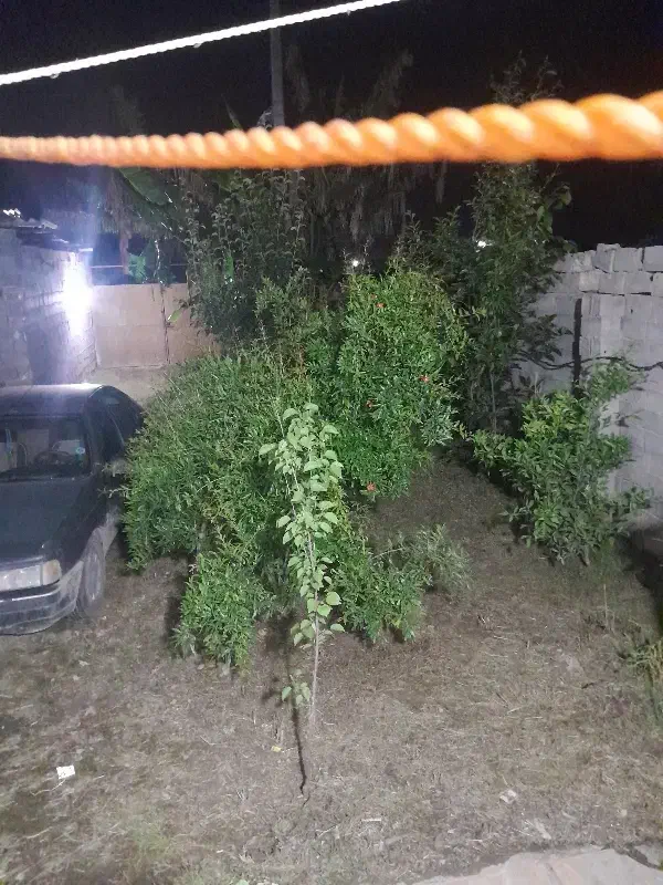 خانه باغ ویلایی