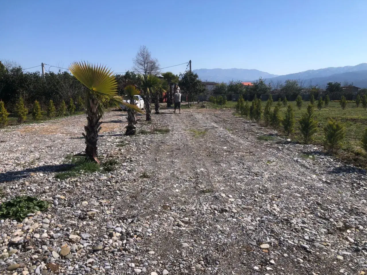 زمین شهرکی نشتارود