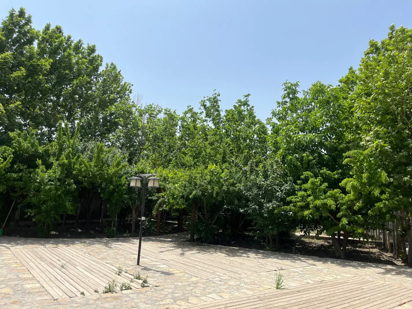 باغ ویلا فروشی