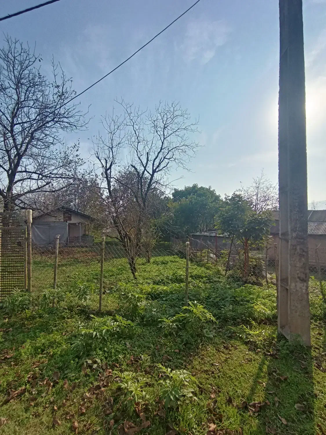 زمین روستایی جنگلی با کاربری مسکونی