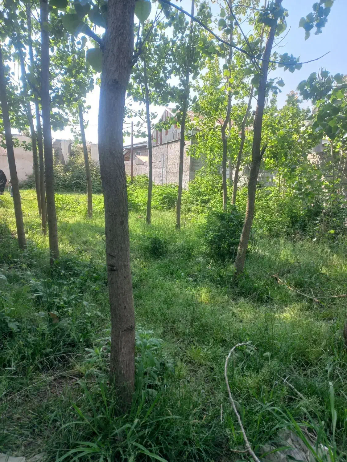 زمین وخانه کلنگی بازکیاگوراب جاده سیاهکل