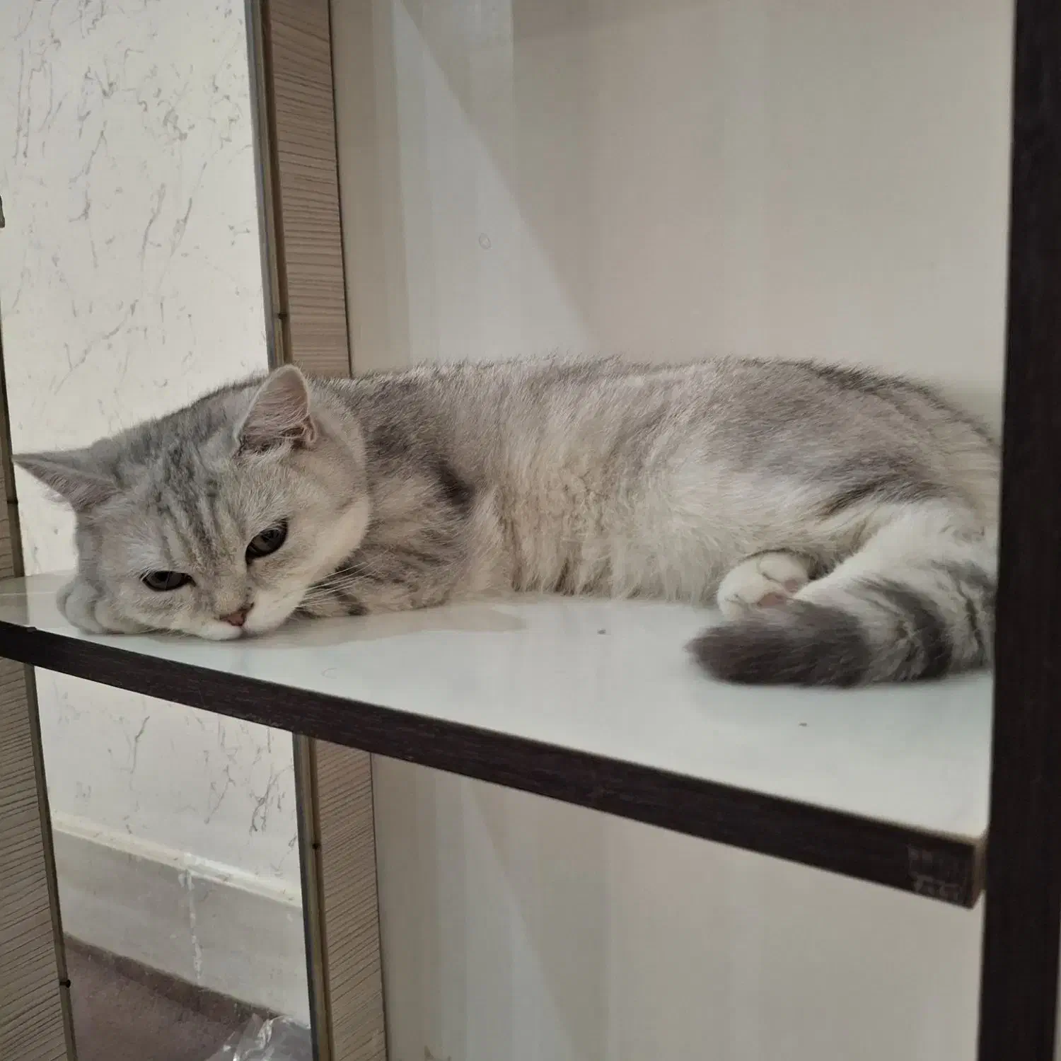 طبقه همکف آرش ۱۳