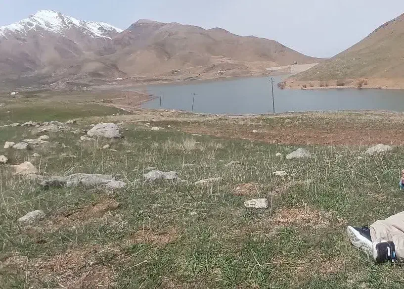 زمین