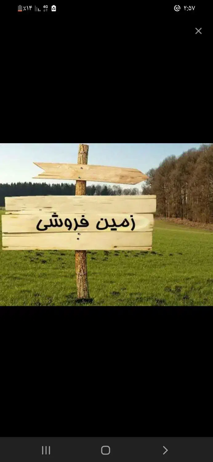 زمین