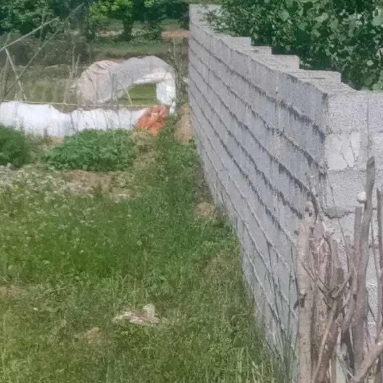 زمین روستایی مابین فومن و صومعه سرا