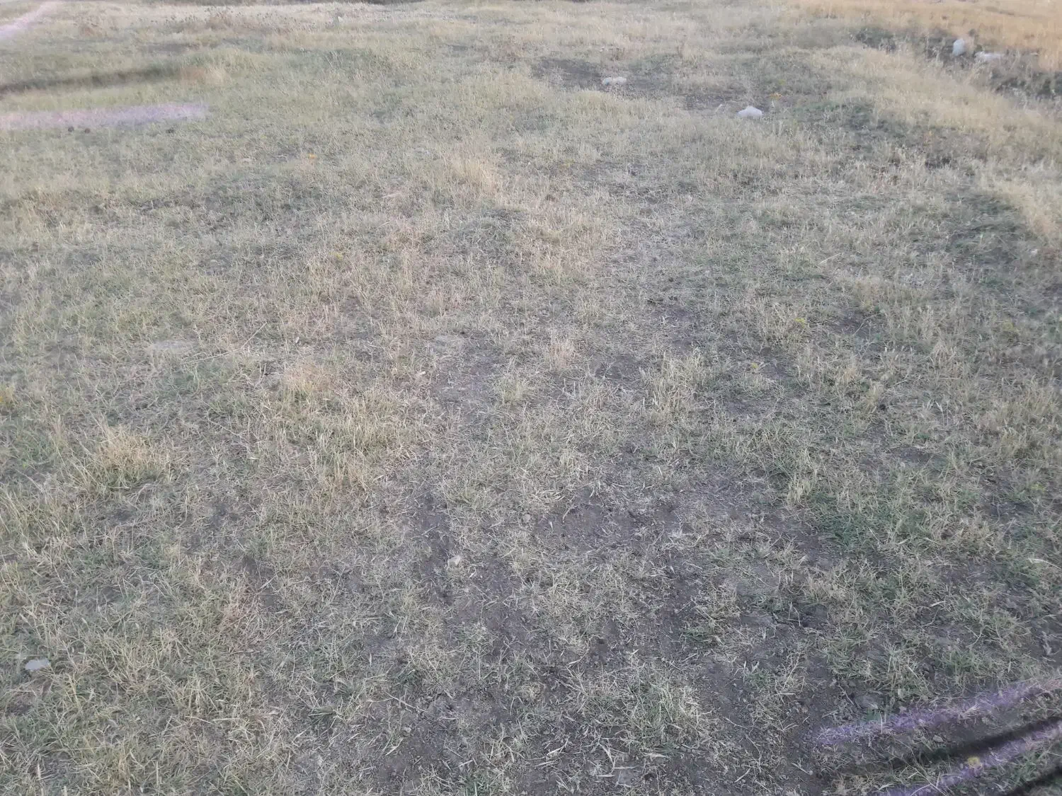 زمین کرناچی