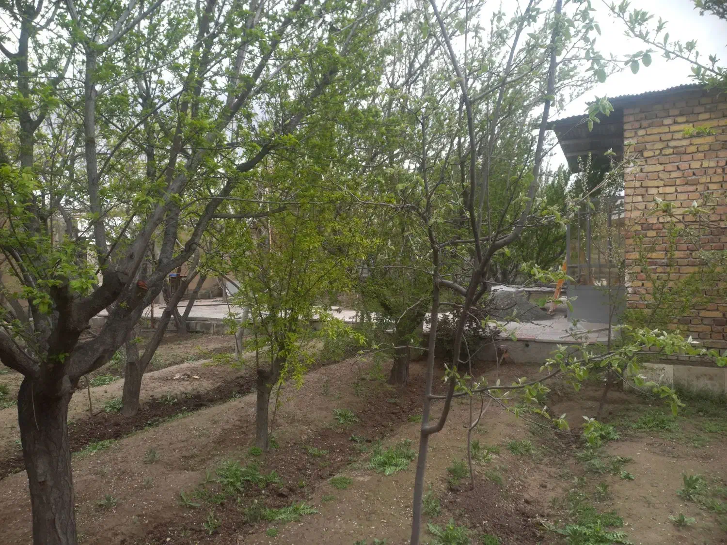 باغچه