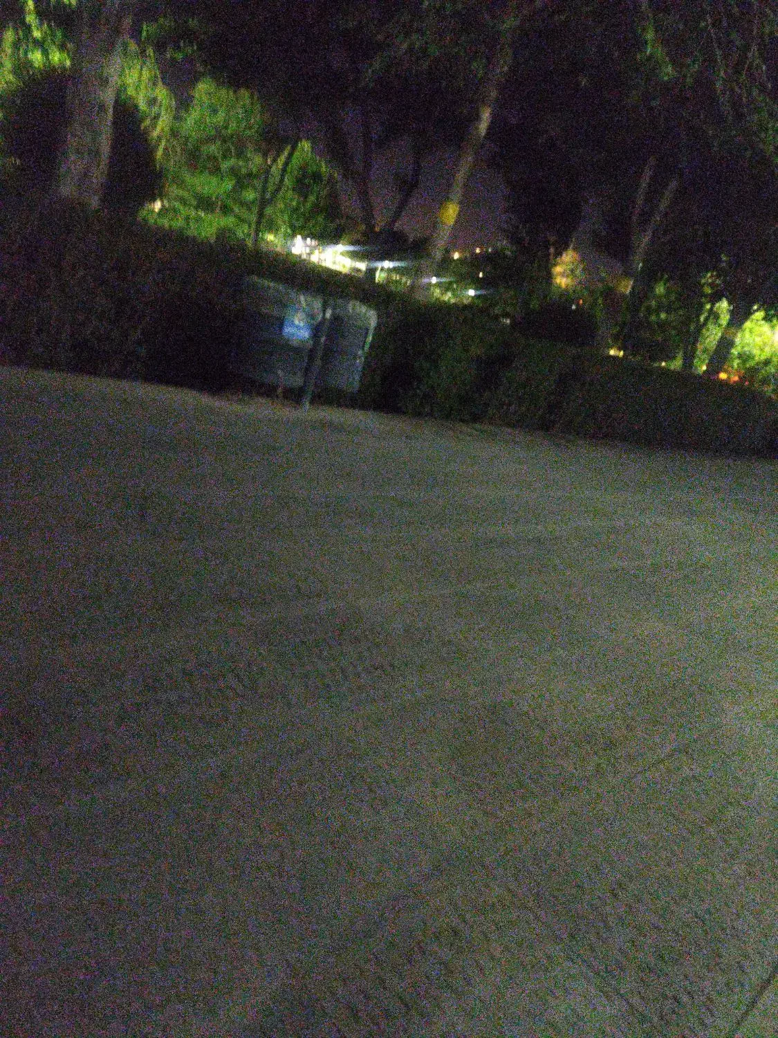 همخونه