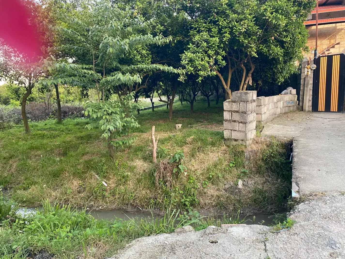 فروش زمین ۳۰۰ متری باغات