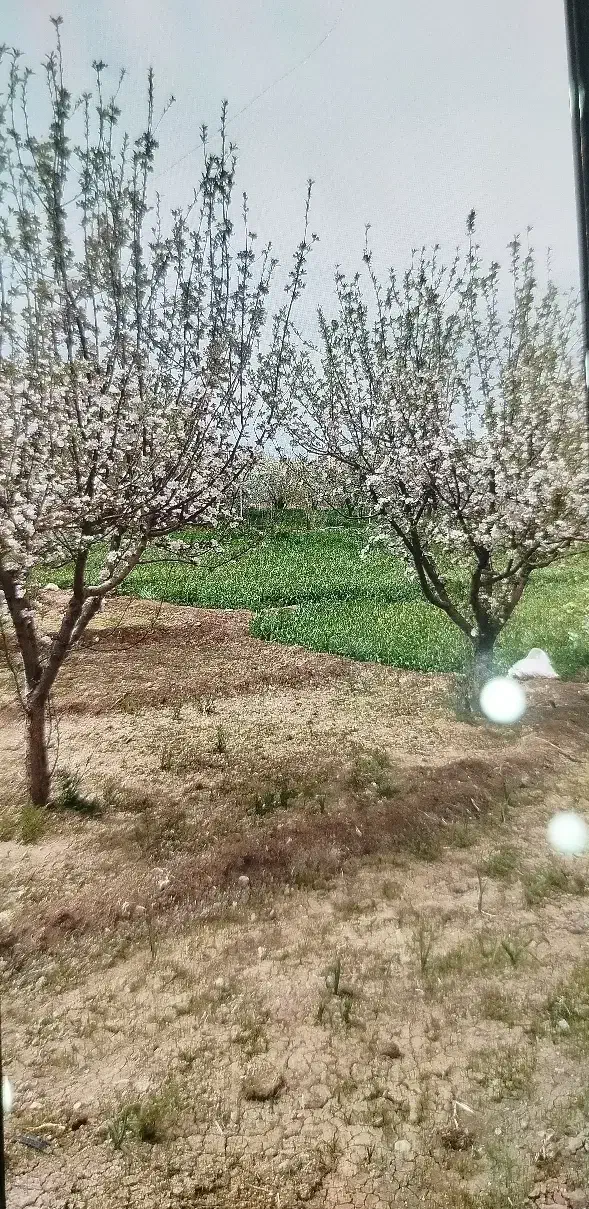 فروش زمین ب متراژ ۱۰۰۰دردیزج بالا جاده بیجار..