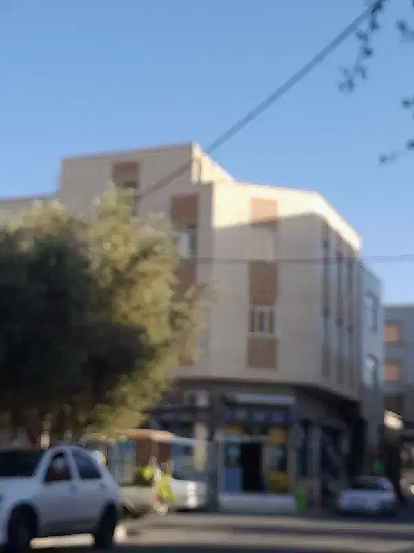 هم خانه خانم (اتباع)
