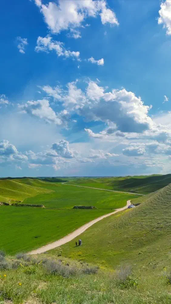 زمین دارای کاربری مسکونی