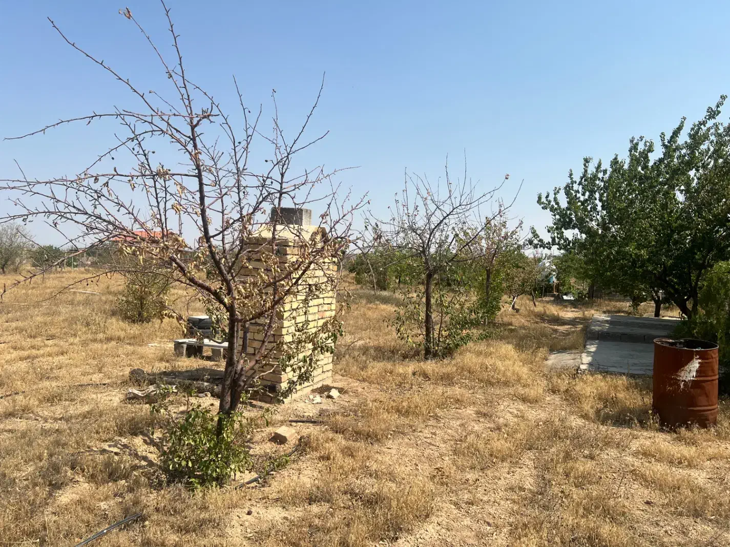 باغشهر رضوان
