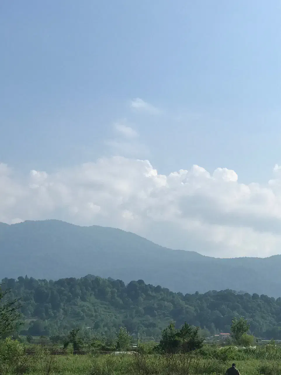 زمین باغی مسکونی