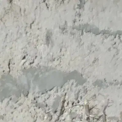 زمین فروشی در کالیکه و جیکولی