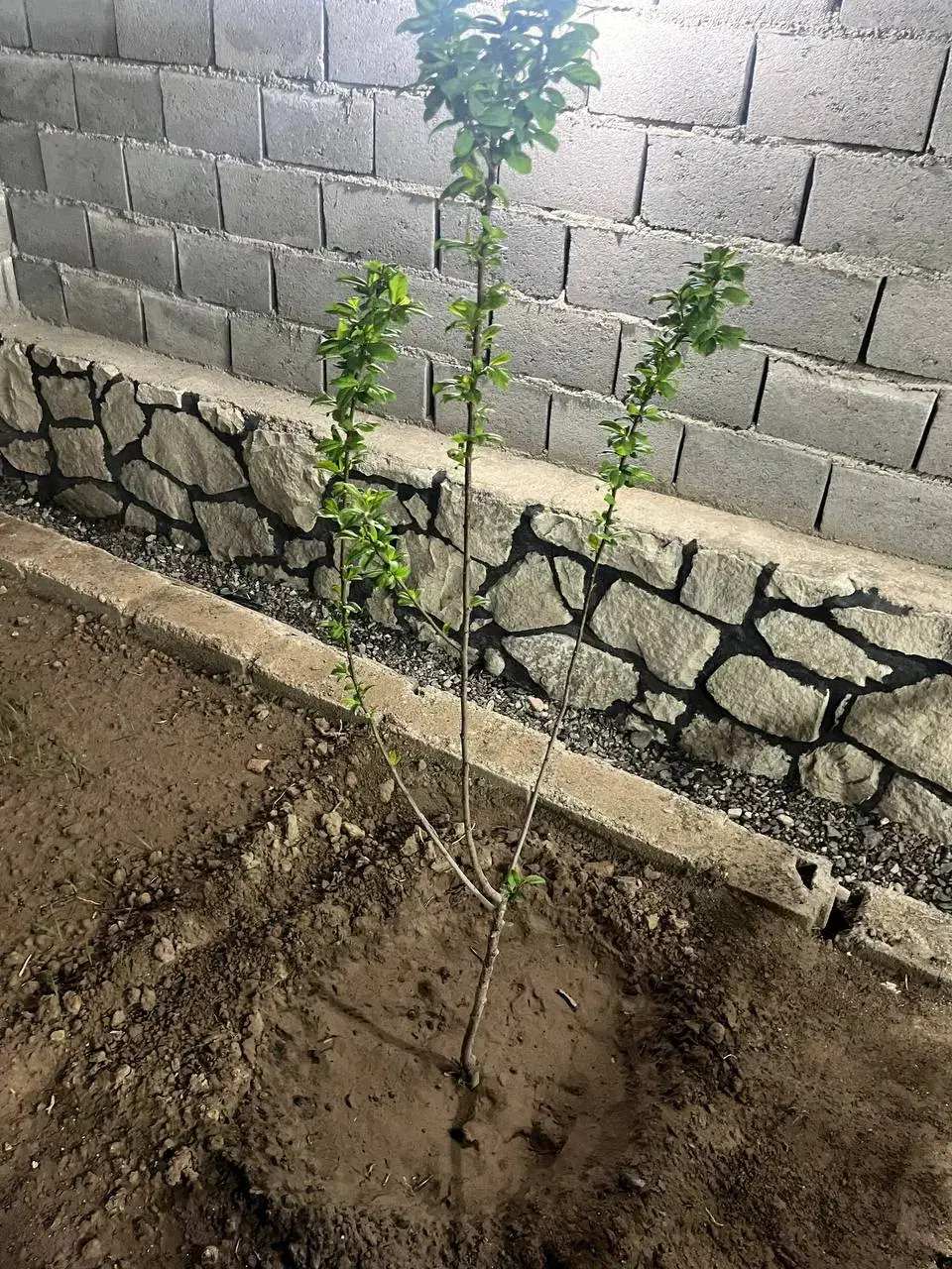 خانه باغ ویلا روستای سلیمانیه مبله باتمام امتیازات