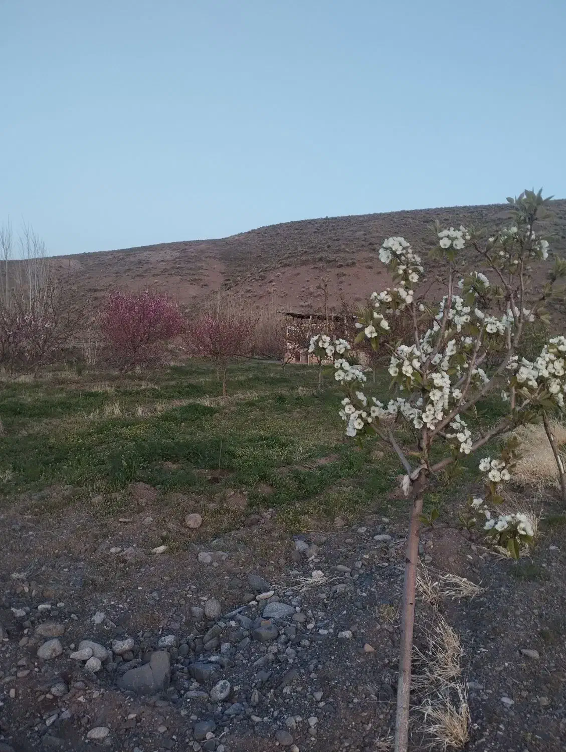 فروش زمین ۷۵۰ متری