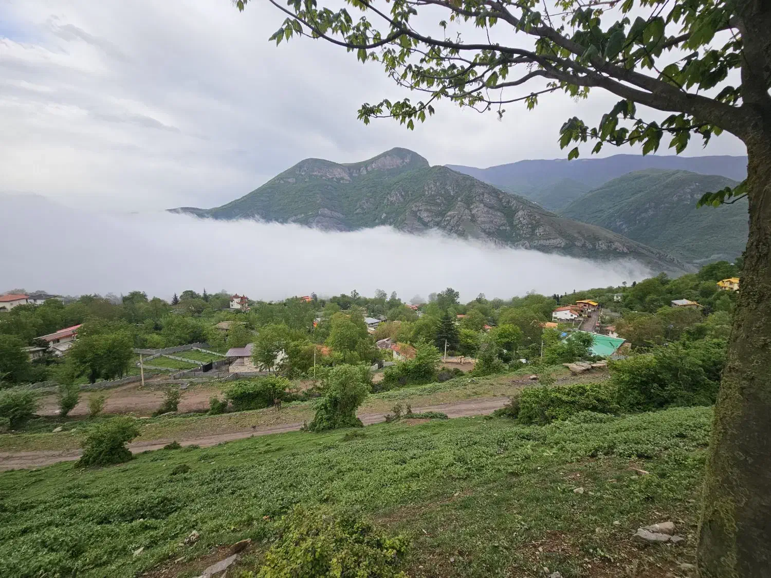 زمین اماده ساخت ویلا
