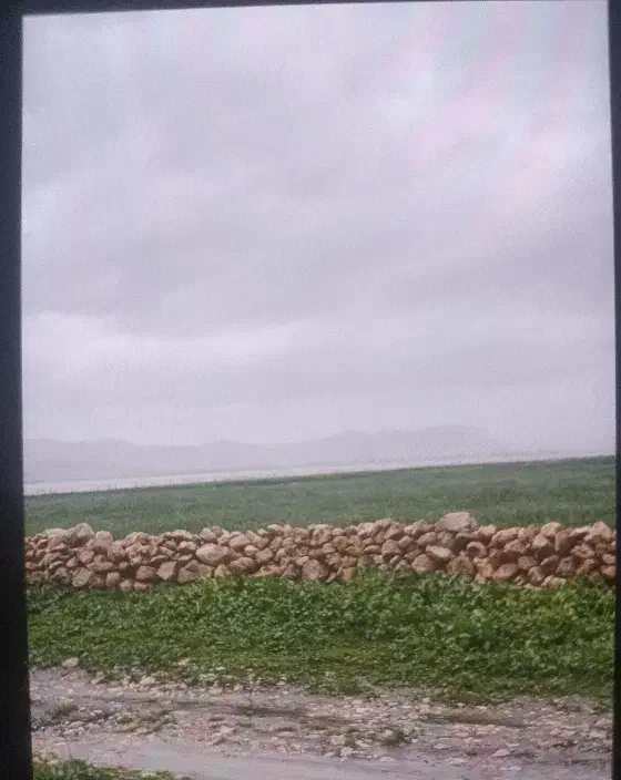 زمین شهرک یولاف
