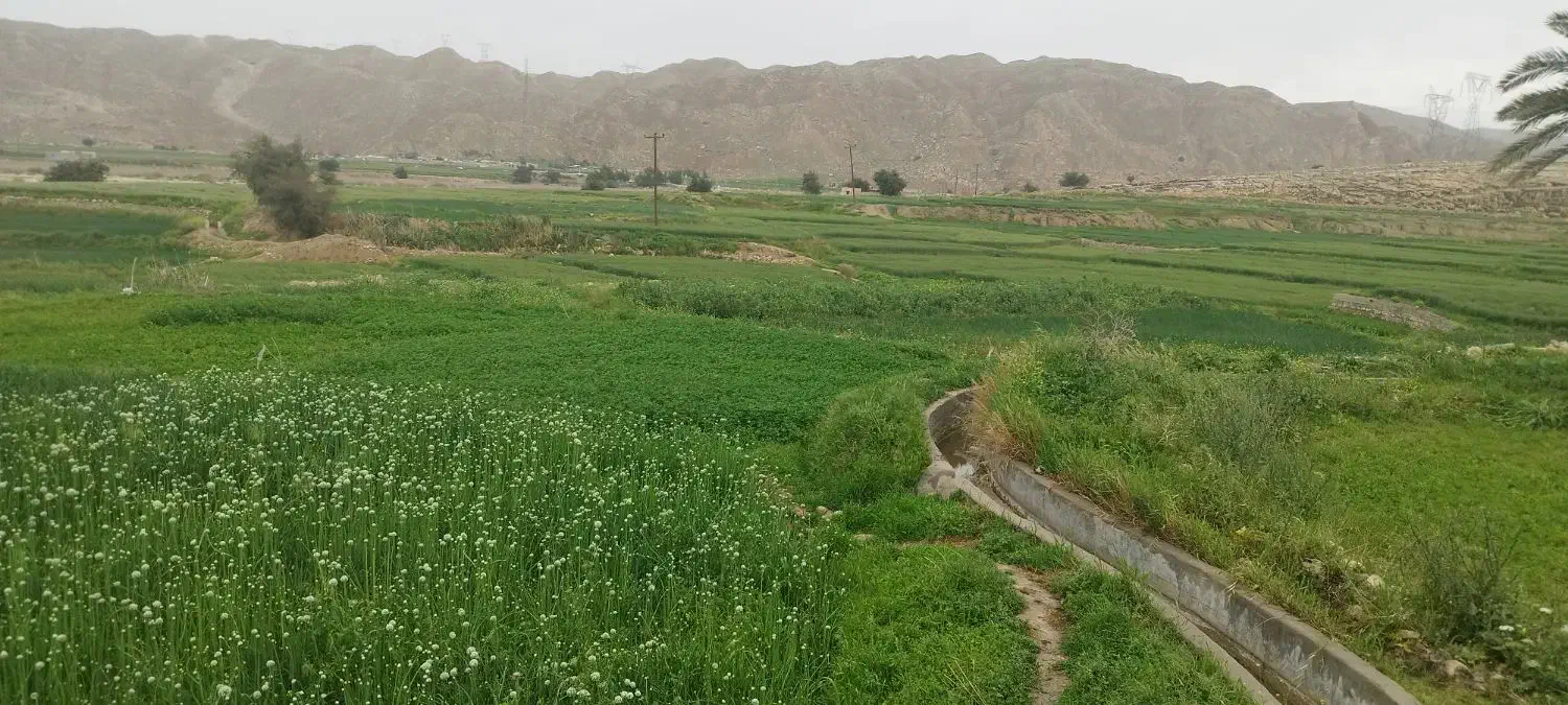 فروش زمین