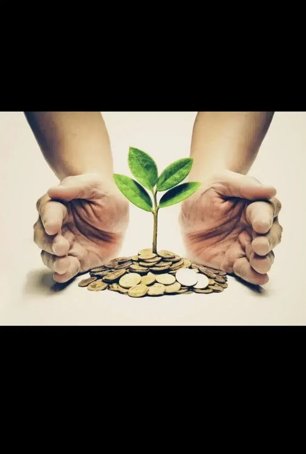 مشارکت در مشاغل با سرمایه