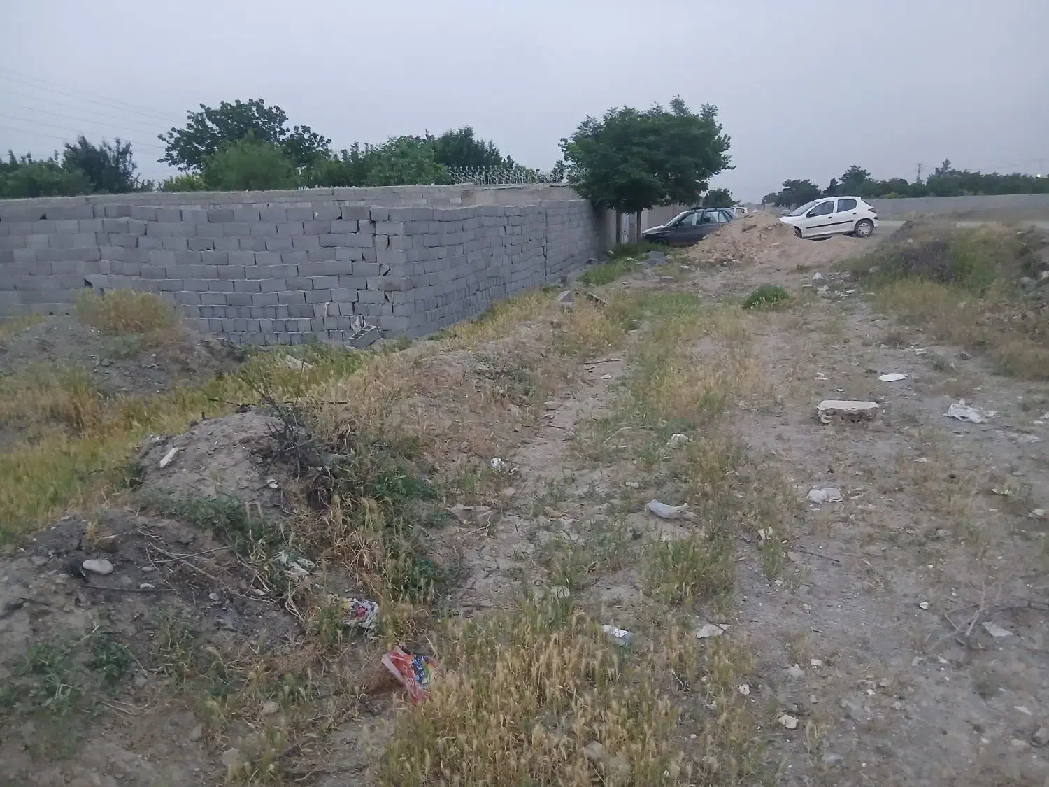 زمین باغی