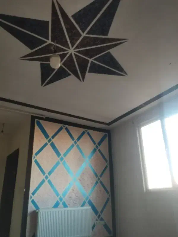 همخانه خانم