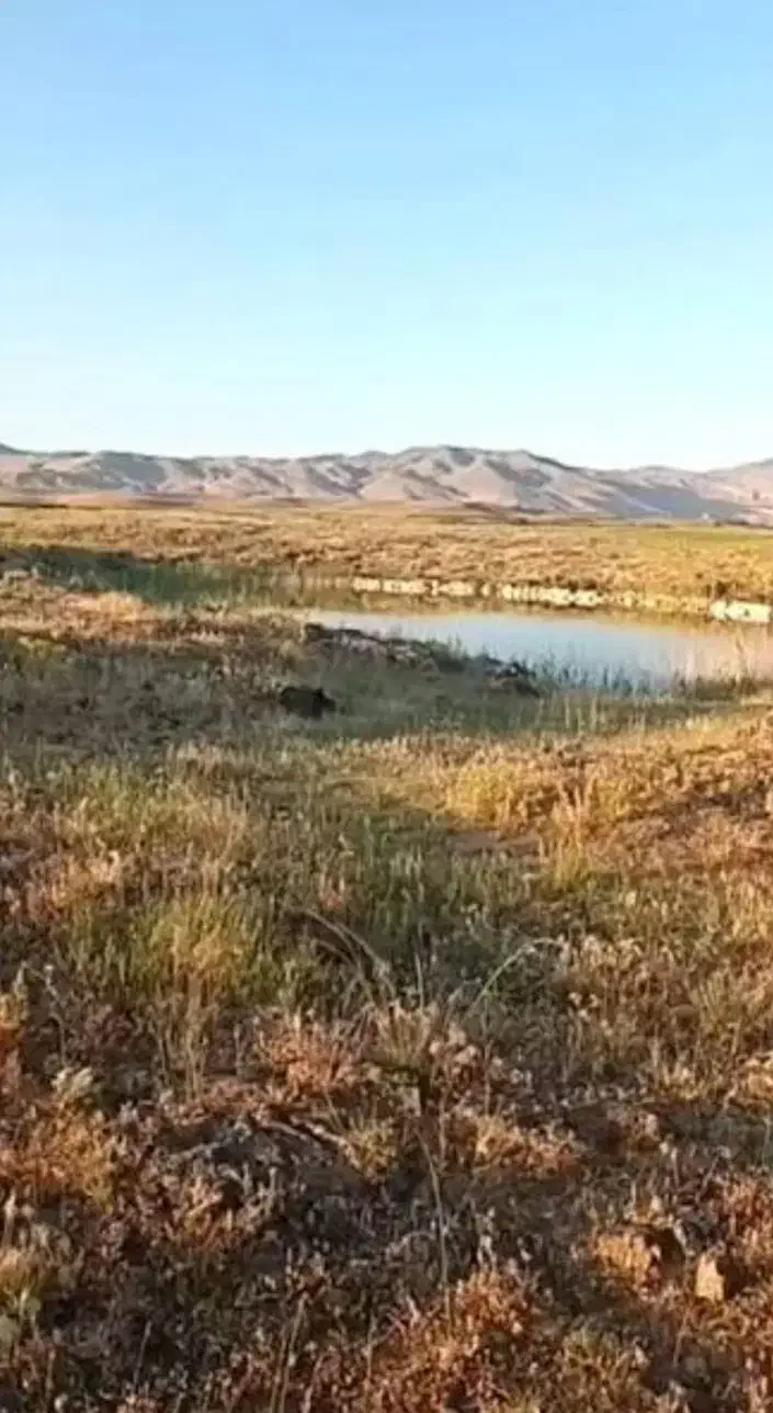 باغ به متراژ ۱۰۰۰ متر