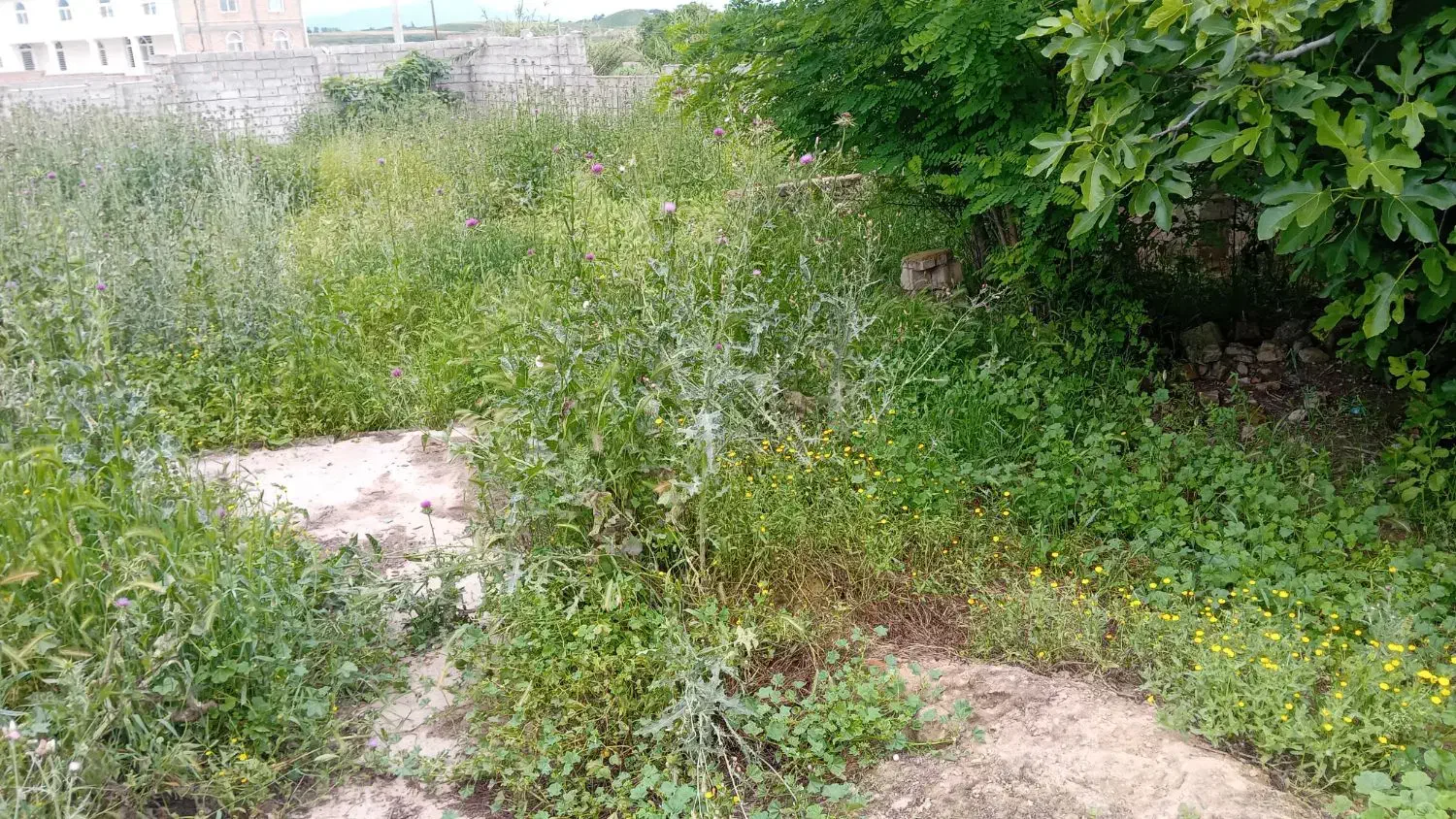 فروش 130 متر زمین مسکونی روستای امانقرهجه ب