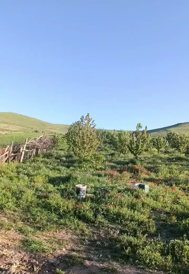 بنای سنتی