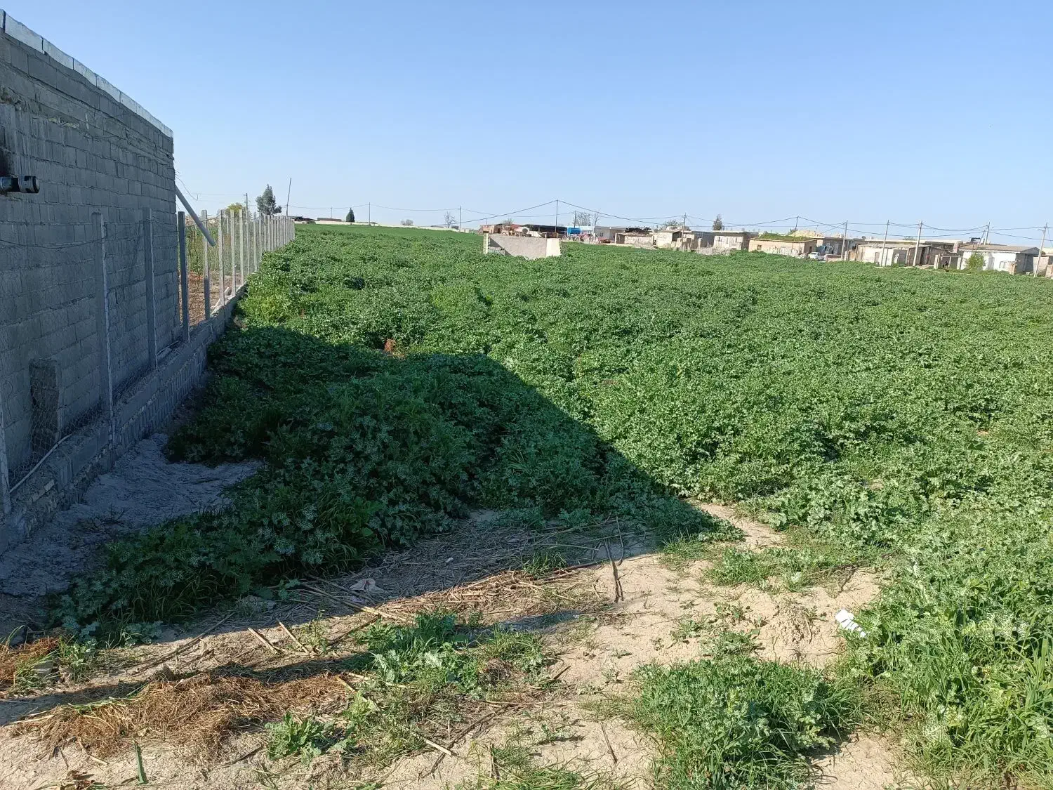 زمین تقی آباده خیابان نگارستان دونبش 151 متر