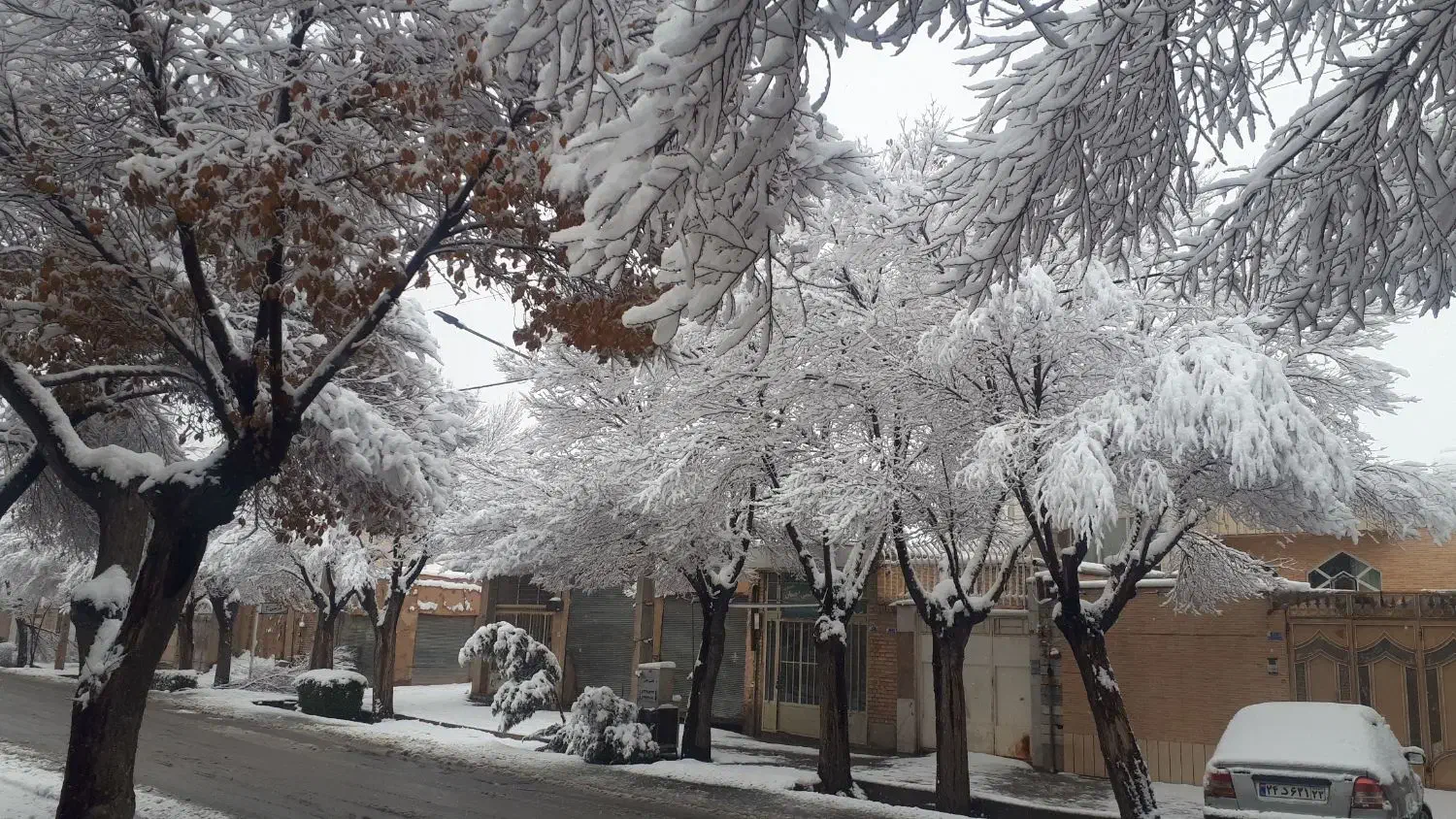 زمین خیابان شهید یزدانی فرعی ۱۸