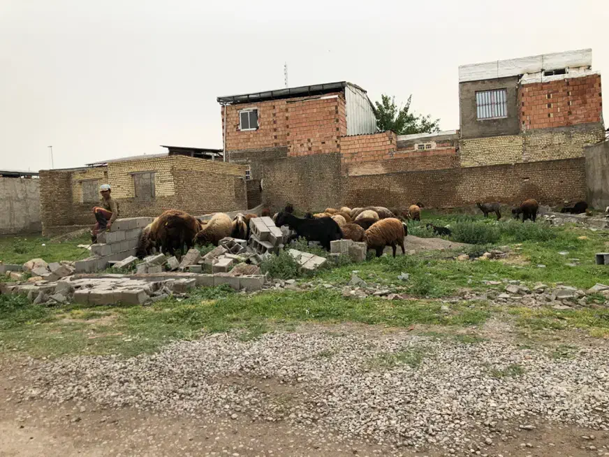 زمین مسکونی