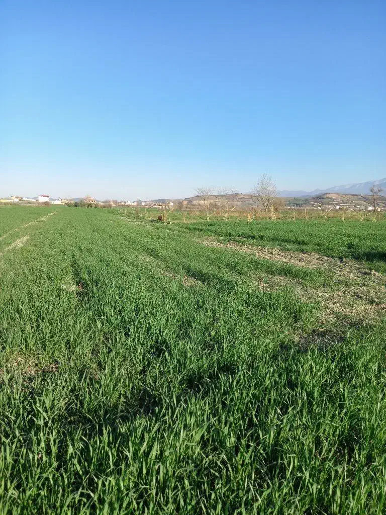۷۰۰۰متر زمین کشاورزی